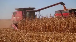 David Young Discusses Iowa's Agriculture