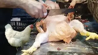 Super Fast Chicken Cutting Old Man Cutter || Expert Boiler Cutter Butcher Man...
