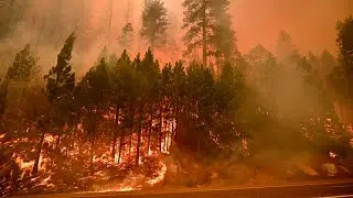 See Video As Flames Reach Highway 50 East Of Kyburz In Caldor Fire