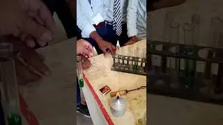 Test of nitrate ion | chemistry practical | class 12 chemistry practical | practical chemistry