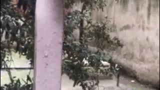 Yorucu bir okul g&uuml;n&uuml;nden sonra b&ouml;yle bir yağmurla karşılaşınca bunu sizlerle de paylaşmak istedim