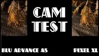 BLU Advance A5 Camera Review & Comparison - $50 Smartphone!