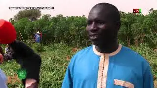 Le PDIDAS dans Reeni Koom Koom: Focus sur l'Opération Pilote de Ngnith