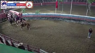 3RA SERIE  - CLUB MANUEL RODRIGUEZ DE RENCA ASOCIACION LAMPA