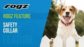 Rogz Feature - Safety Collar