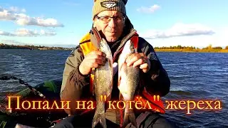 Однажды осенью на реке Мёша.  Попали на 