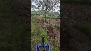 Why Olive Farmers Swear By Vibrating Harvesters! Watch It Work