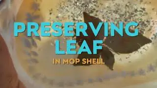 Casting Leaves In Resin | Preserving Plants | RESIN ART Fluid | Mother of Pearl | Use of Resin Epoxy