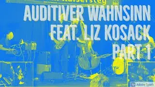 Auditiver Wahnsinn feat. Liz Kosack Part 1