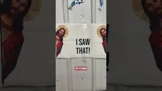 Находка для мусорного бака!!! #жизньподдонов