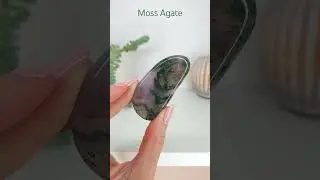 Moss Agate Crystal Palm Stone
