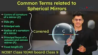 Common terms related to Convex & Concave Mirrors | NCERT Class 10 Allern Active