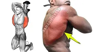 7 упражнений для спины 🔥 Постройте широкую и сильную спину | Полное руководство