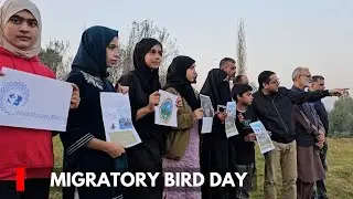 Pampore: World Migratory Bird Day Celebrated at Manibugh Wetland