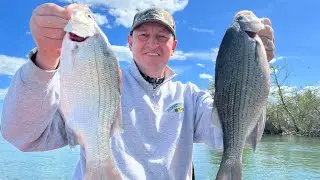 Азартная Рыбалка на Серебряного Басса на Реке Детройт. Fishing Silver Bass in the Detroit River