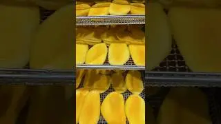 Processing of Dried Mango #driedmango #snacks