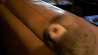 My adorable african grey parrot.