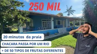 CHÁCARA DE 250 MIL COM + DE 50 ÁRVORES FRUTÍFERAS NA PRAIA DE ITANHAEM