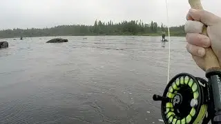 Nautilus NV-G 7/8 Fly Reel Sound On A Large Atlantic Salmon