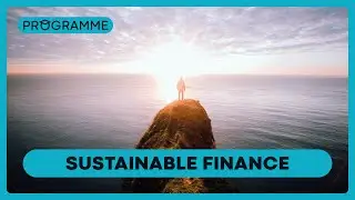 MSc, Master of Science Sustainable Finance &ndash; pr&eacute;sentation du programme