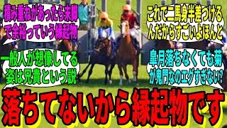 【競馬の反応集】「決して落ちることのない縁起物ですプイ」に対する視聴者の反応集