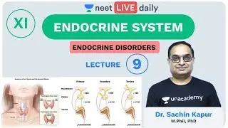 Endocrine System - L9 | Endocrine Disorder | Unacademy NEET | LIVE DAILY | NEET Biology | Sachin Sir