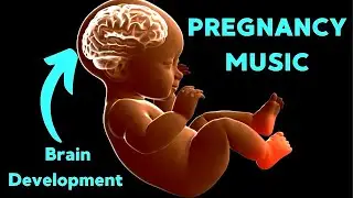 Music for Baby Inside The Womb, Music for Brain Development, Music for Pregnancy And Unborn Baby *90