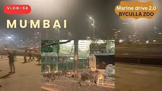 BYCULLA ZOO- MARINE DRIVE 2.0 Mumbai 