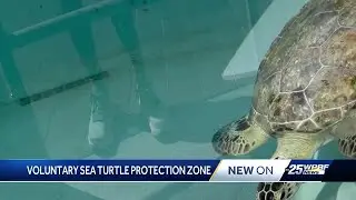 45 miles of South Florida beaches will be monitored for sea turtle safety