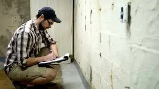 Why Attic & Basement Inspections Are Crucial for Preventing Damage | Paragon Property Inspections