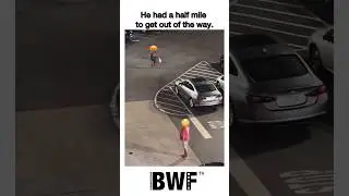&ldquo;Man Ignored Warning, Gets Hit in the Face as Woman and Two Dogs Charge Through Parking Lot&rdquo;
