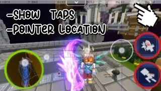 Using Mobile DEVELOPER Mode (Show Taps & Pointer Location)