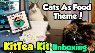 KitTea Kit Unboxing Subscription Box For Cat Lovers #KitTeaKit