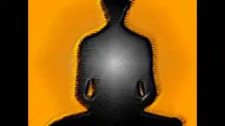 Toxin Elimination Binaural Beats + Isochronic Tones