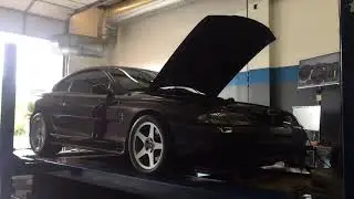 96 Terminator Swapped Mystic Cobra Dyno