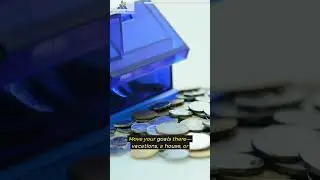 The 