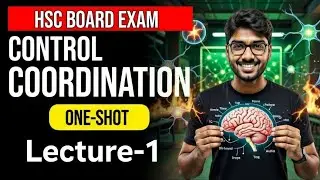 Control & Coordination One Shot 🔥| HSC Board Biology | Nervous + Endocrine System