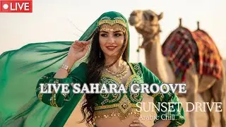 HABIBI Arabic EDM 🔴 LIVE 24/7 | Relaxed Bass Drive