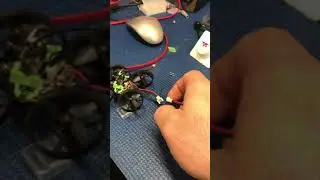 Furious FPV True D 3.8D