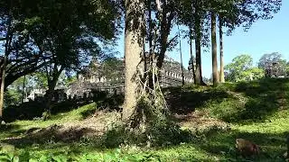A Monkey's Guide to Surviving the Wilderness!
