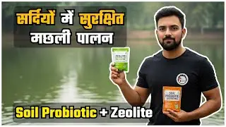 Winter Mein Safe Machhli Palan | Soil Probiotic (Sludge Nil) & Zeolite Tips #shwamiagrofarms #fish