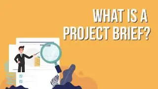Project briefing Fmmc