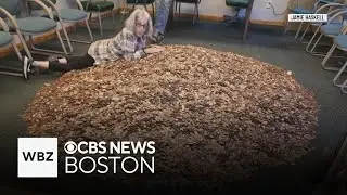 Maine man pays $20,000 zoning fine in pennies