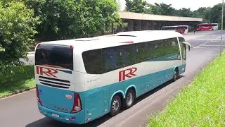 MOVIMENTAÇÃO NO TERMINAL RODOVIÁRIO DE RIBEIRÃO PRETO-SP DO DIA 10/01/2025.