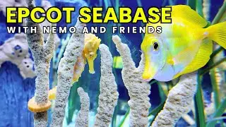 SeaBase Aquarium with Nemo & Friends Full Tour | EPCOT World Nature 2025 | Walt Disney World