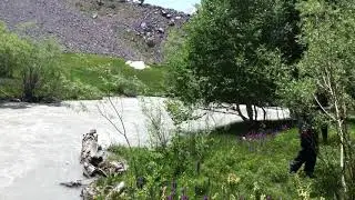 Golain Valley Jungle Chitral Pakistan