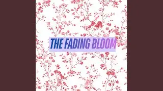 Fleeting Echoes Unwind