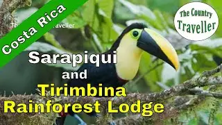 Best rainforest lodges in Costa Rica - Tirimbina Rainforest Lodge in Sarapiqui #thecountrytraveller