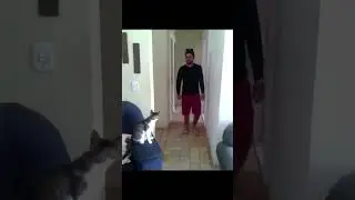 Кот и мужчина здороваются как настоящие бро! 🖐️👊
