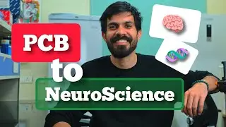 From Biotech to Neuroscience: My PhD Journey